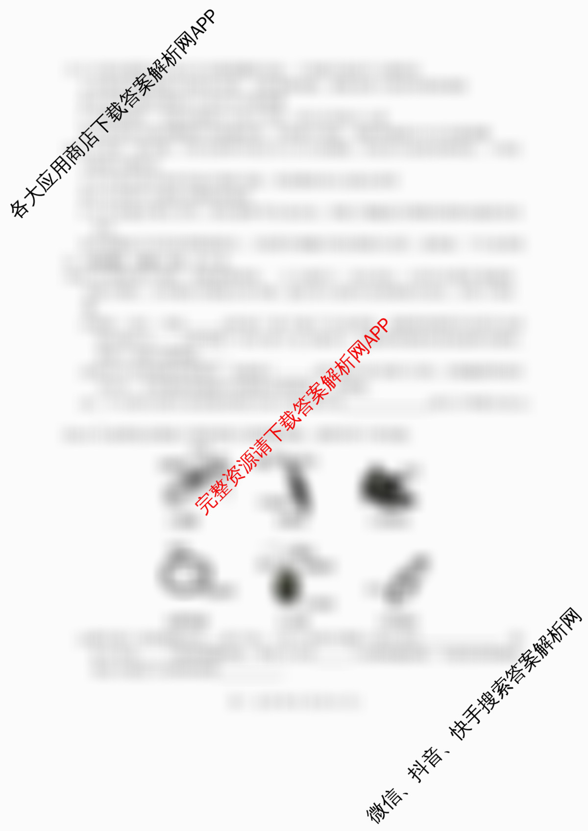 河北省2025级高一年级阶段性联合测评(9.23)试卷及答案汇总（含政治 地理 数学等）生物试题