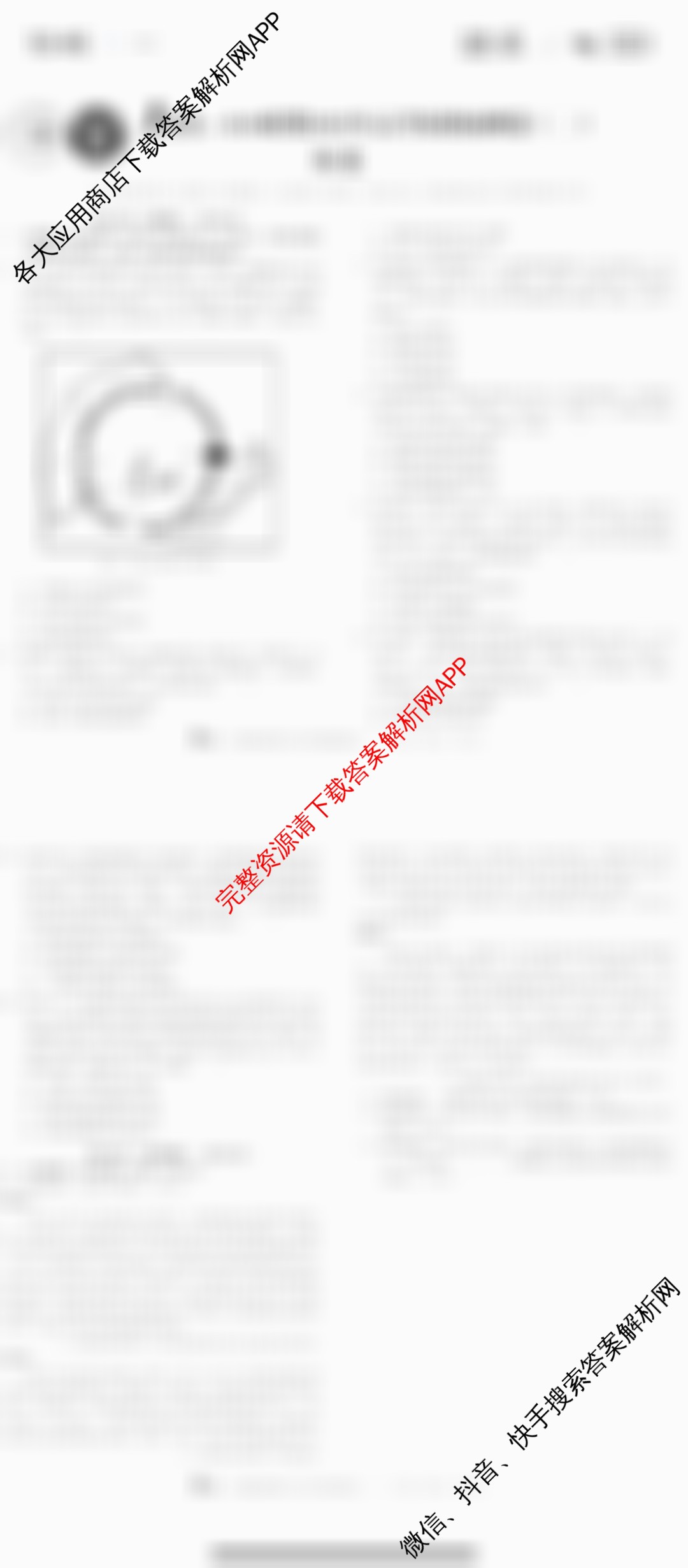 1号卷A10联盟2025年高考原创预测卷(二)2各科答案及试卷: 含政治 物理 语文试卷解析历史试题