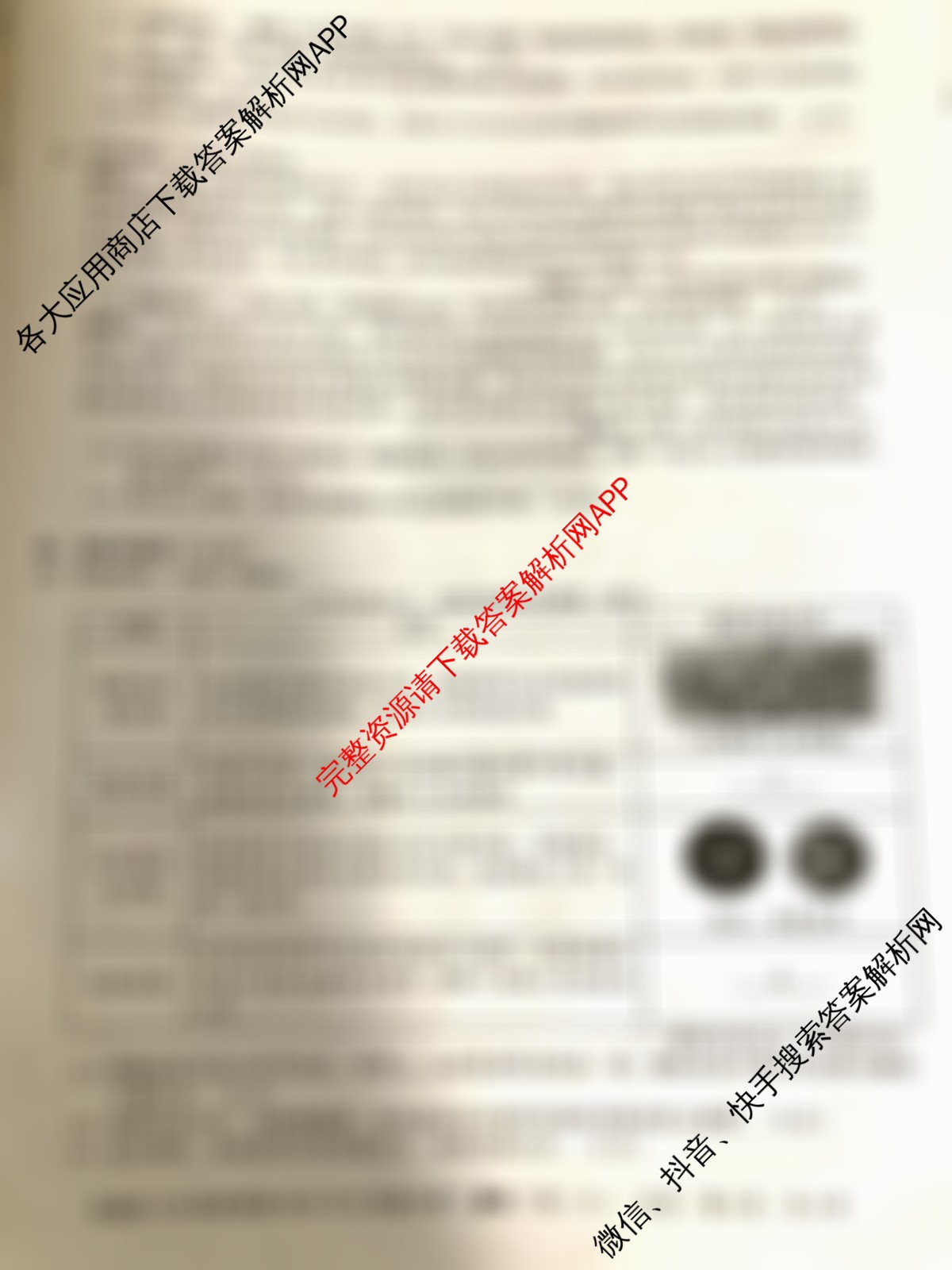 安徽省C20教育联盟2025年九年级中考功夫卷(六)（含数学、语文、历史等7份）历史试题