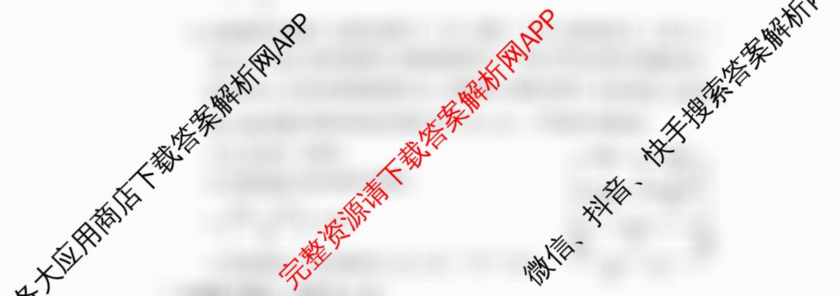 洛阳市2024-2025学年高二第一学期期中考试（含化学、数学、英语等）物理试题