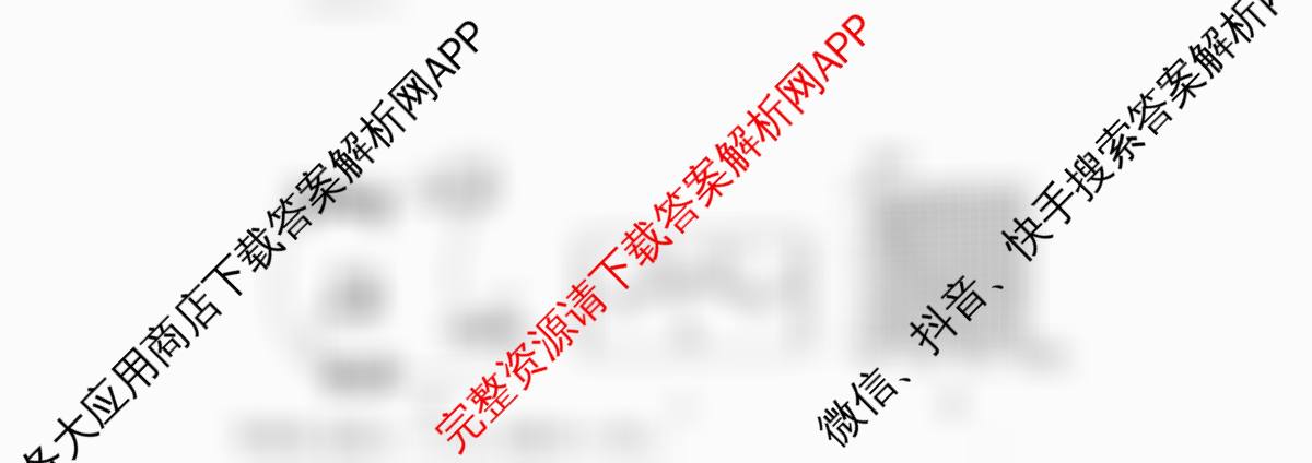 洛阳市2024-2025学年高二第一学期期中考试（含化学、数学、英语等）物理试题