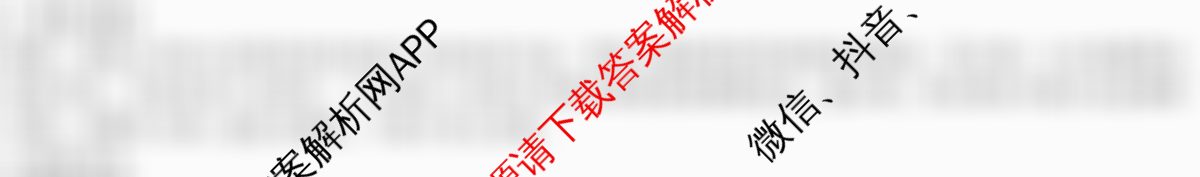 新高考金卷2025届全国II卷模拟卷(一)（含化学、历史、政治等）政治答案
