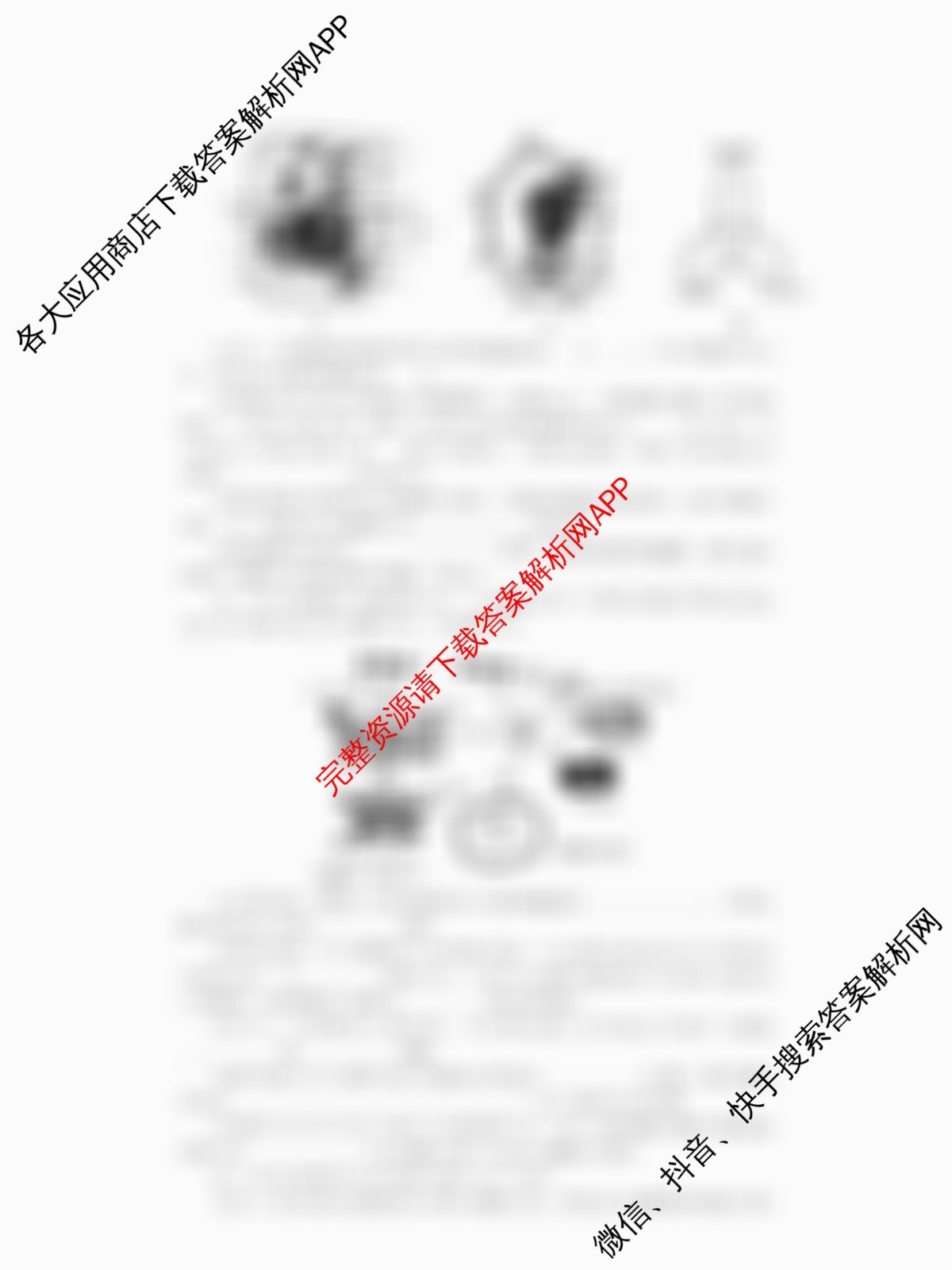 湖南师大附中2024-2025学年度高一第一学期期中考试试卷及答案汇总（含政治 生物 语文等）生物试题