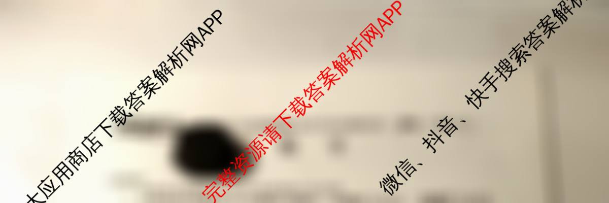 安徽省C20教育联盟2025年九年级中考功夫卷(六)（含数学、语文、历史等7份）数学试题