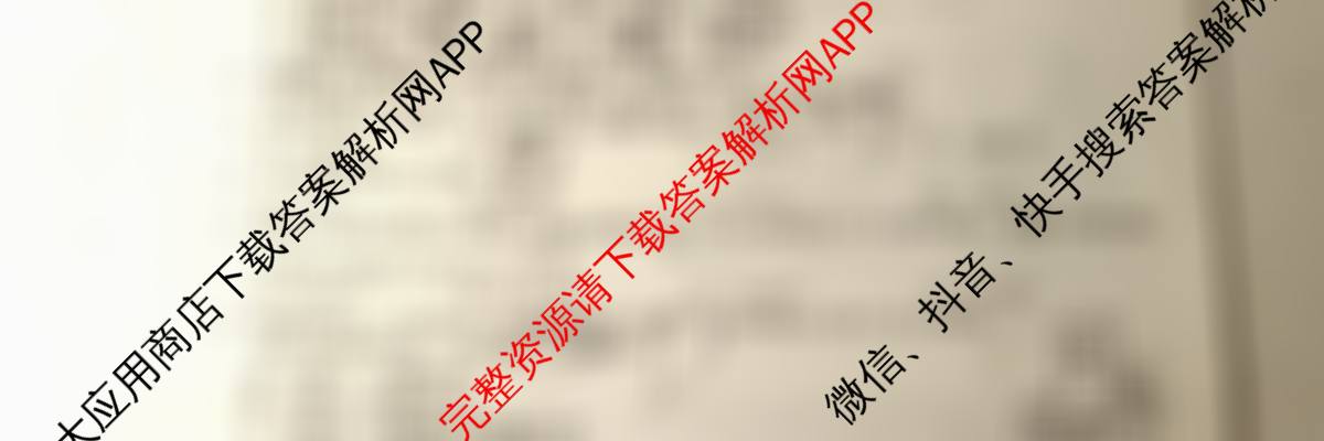 安徽省C20教育联盟2025年九年级中考功夫卷(六)（含数学、语文、历史等7份）数学试题