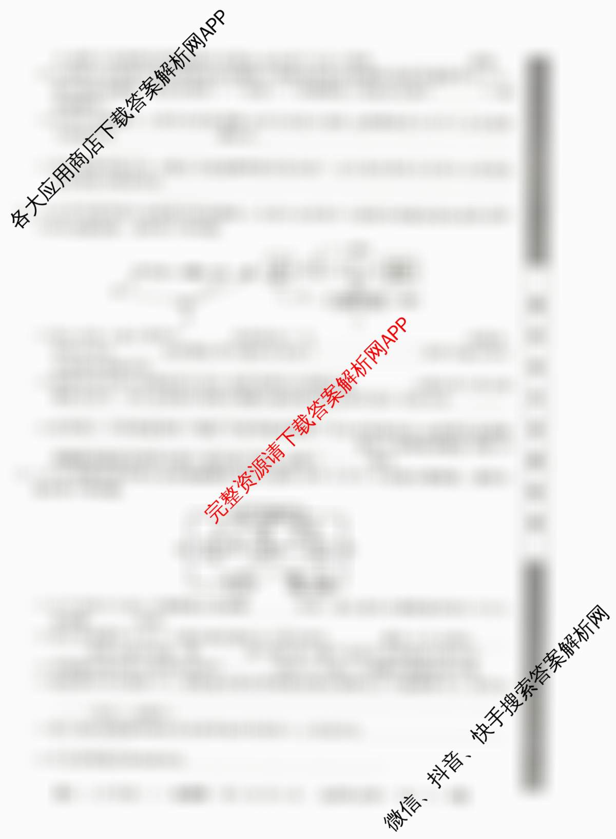 2024~2025全国名校高二上学期第二次月考试卷（含历史(选择性必修②-BB-G-唐) 政治(必修4-BB-G-唐) 英语(选择性必修第一册-RJ-G-唐)等）生物试题