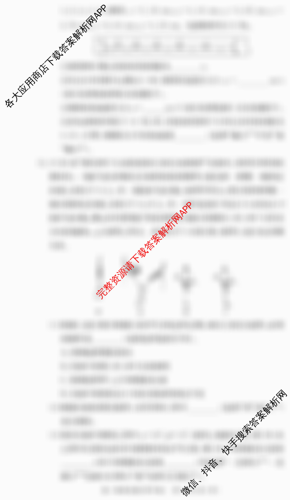 湖南师大附中2024-2025学年度高一第一学期期中考试试卷及答案汇总（含政治 生物 语文等）物理试题