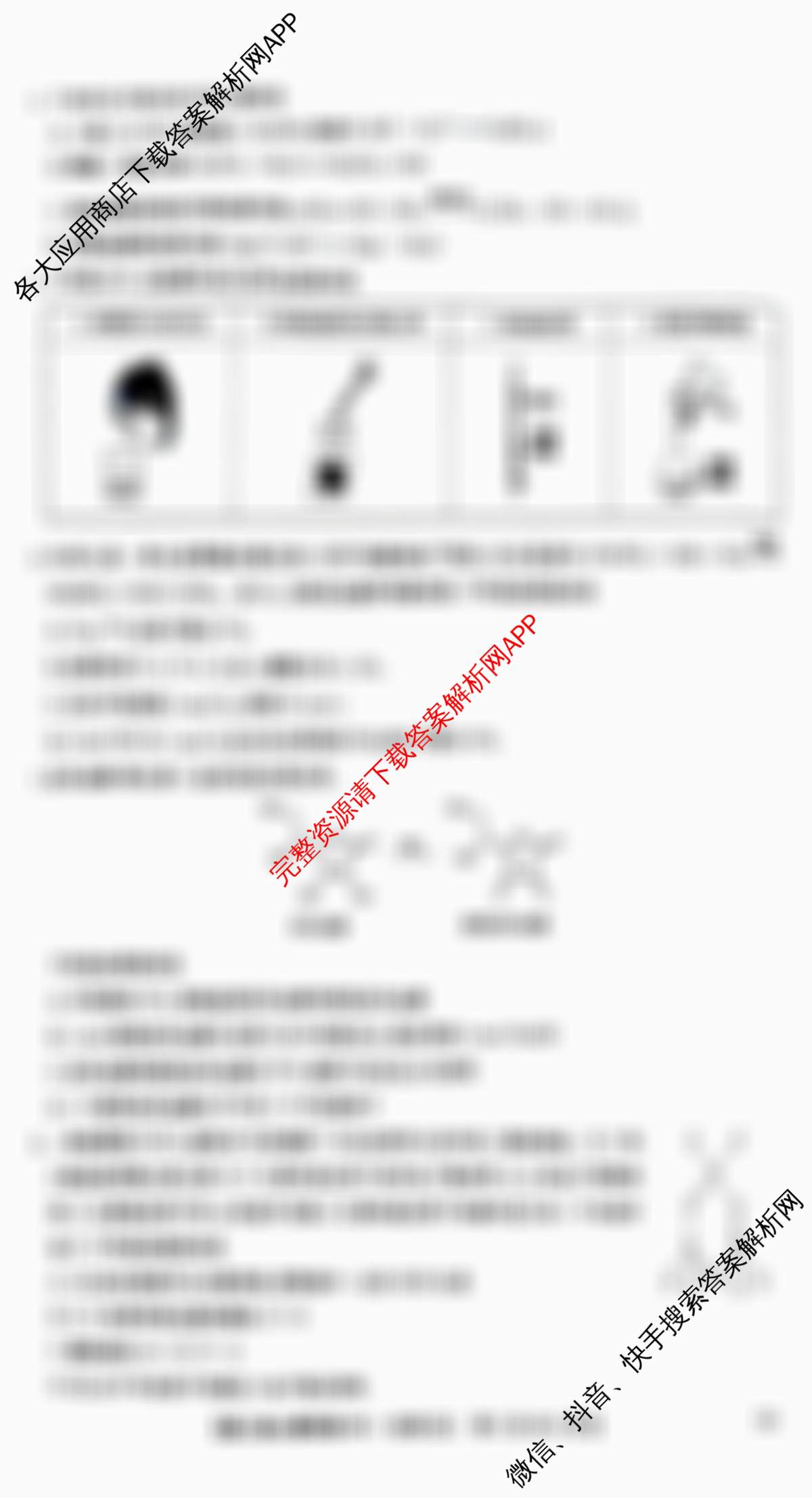 九师联盟2025~2026学年高三核心模拟卷(中)(五)各科答案及试卷（含地理(D3) 政治(A2) 物理(HF)等36份）化学试题