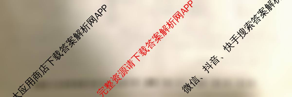 安徽省C20教育联盟2025年九年级中考功夫卷(六)（含数学、语文、历史等7份）化学试题