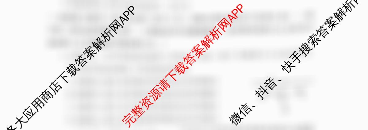 洛阳市2024-2025学年高二第一学期期中考试（含化学、数学、英语等）物理试题