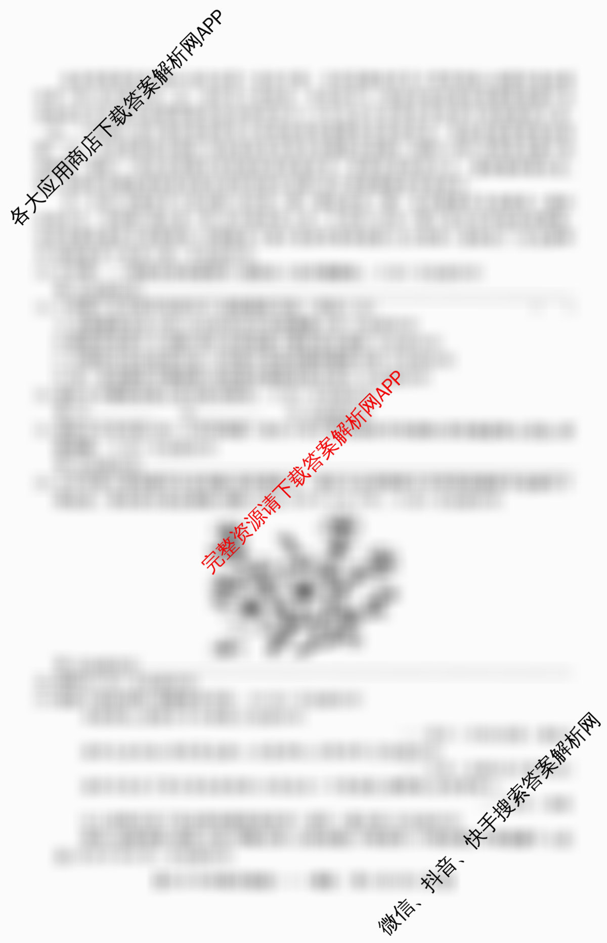 2026年全国高考冲刺压轴卷(一)1试卷及答案汇总(已更新地理(B1) 地理(湖南) 历史(河南)等67份)语文试题