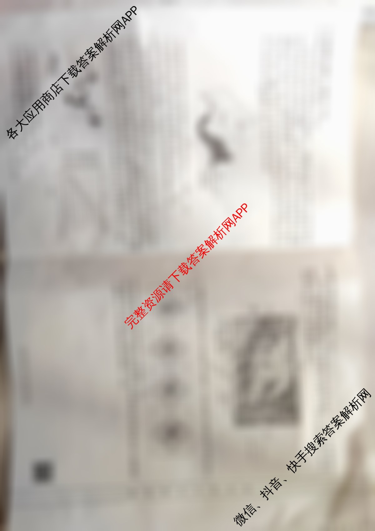 2024年三新协同教研共同体高三联考(12.19-20)各科答案及试卷（27科全）地理试题