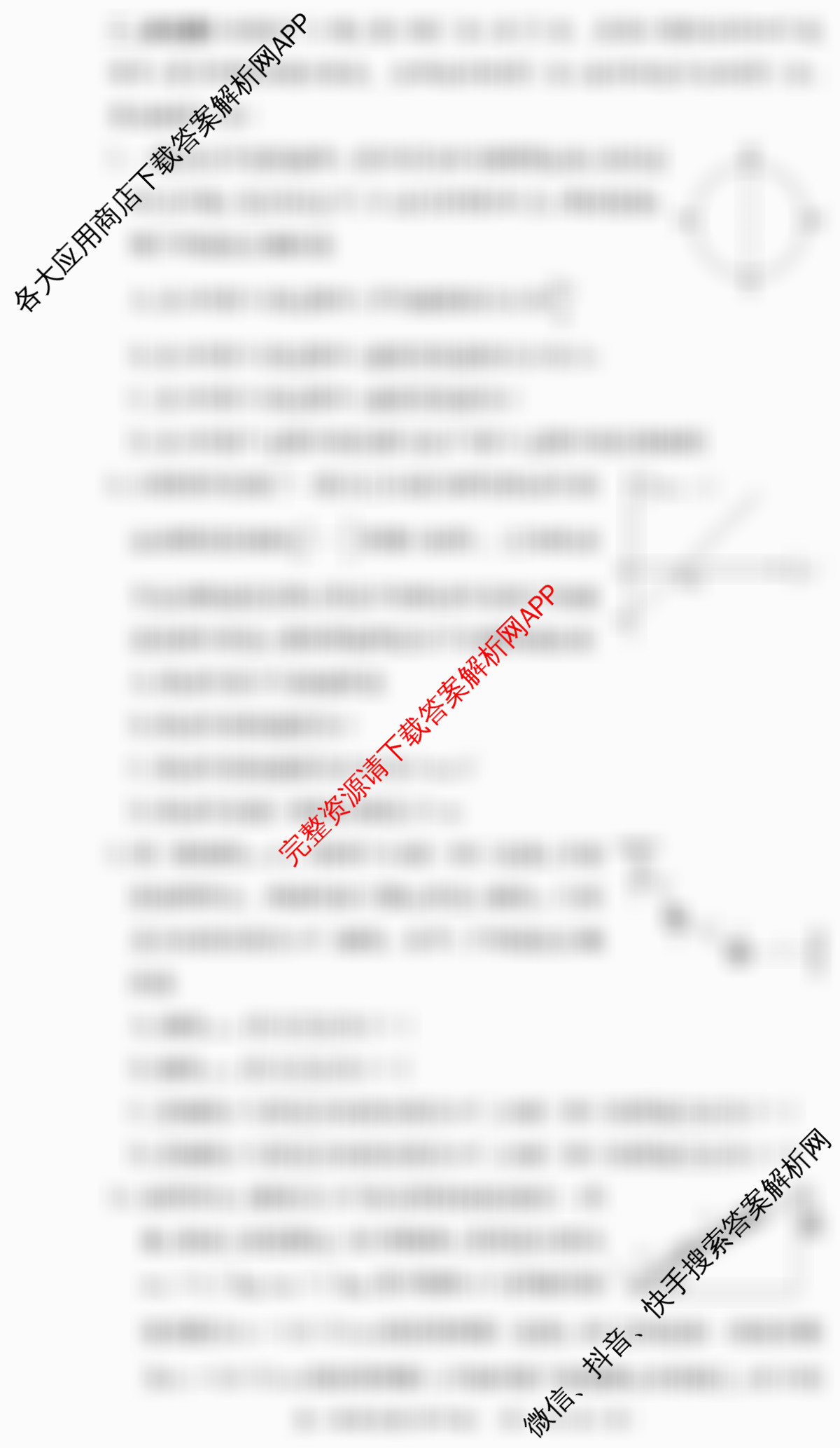 湖南师大附中2024-2025学年度高一第一学期期中考试试卷及答案汇总（含政治 生物 语文等）物理试题