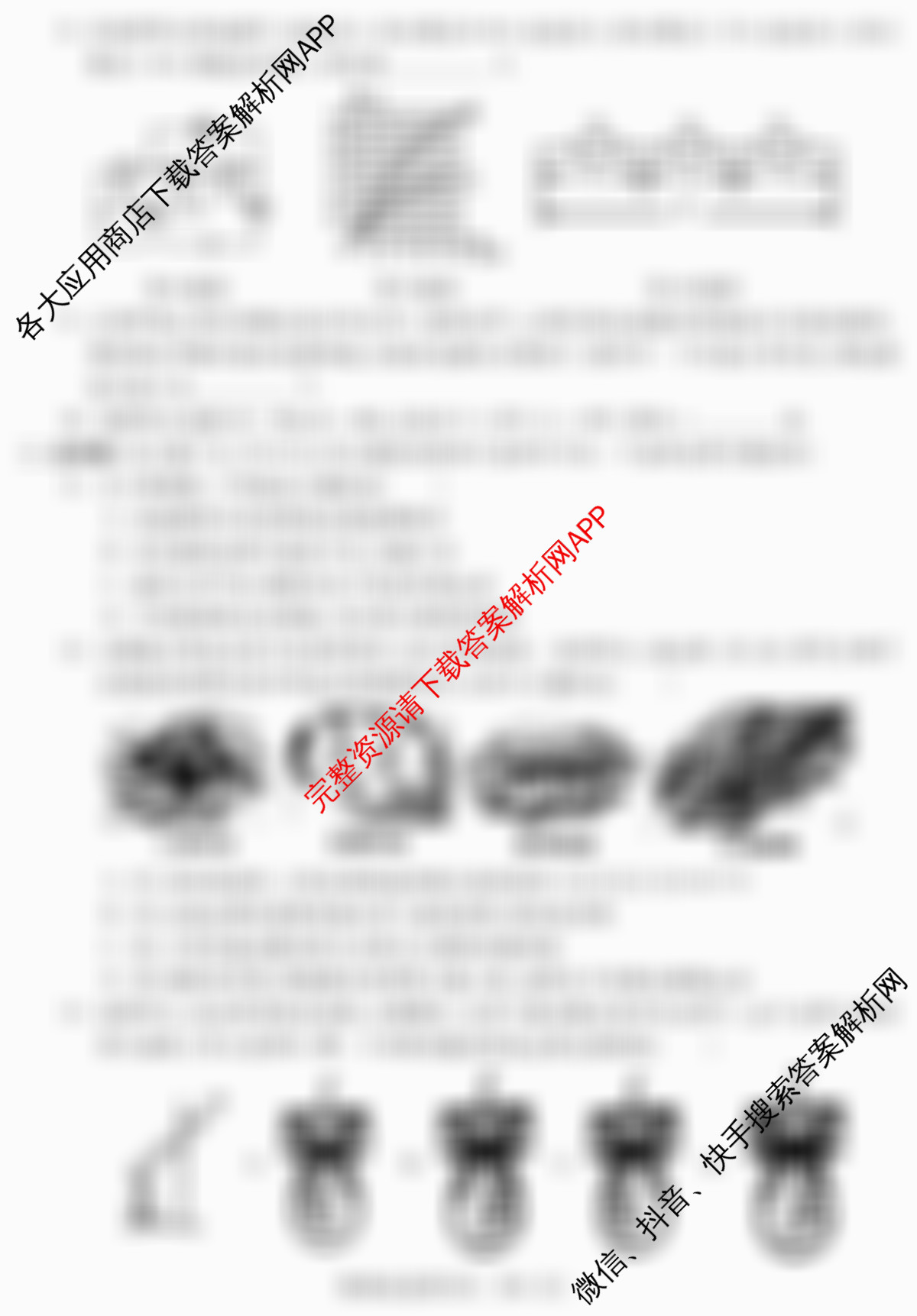 安徽省2025-2026学年学年第一学期九年级第三次限时训练(已更新化学 物理 英语等7份)物理试题