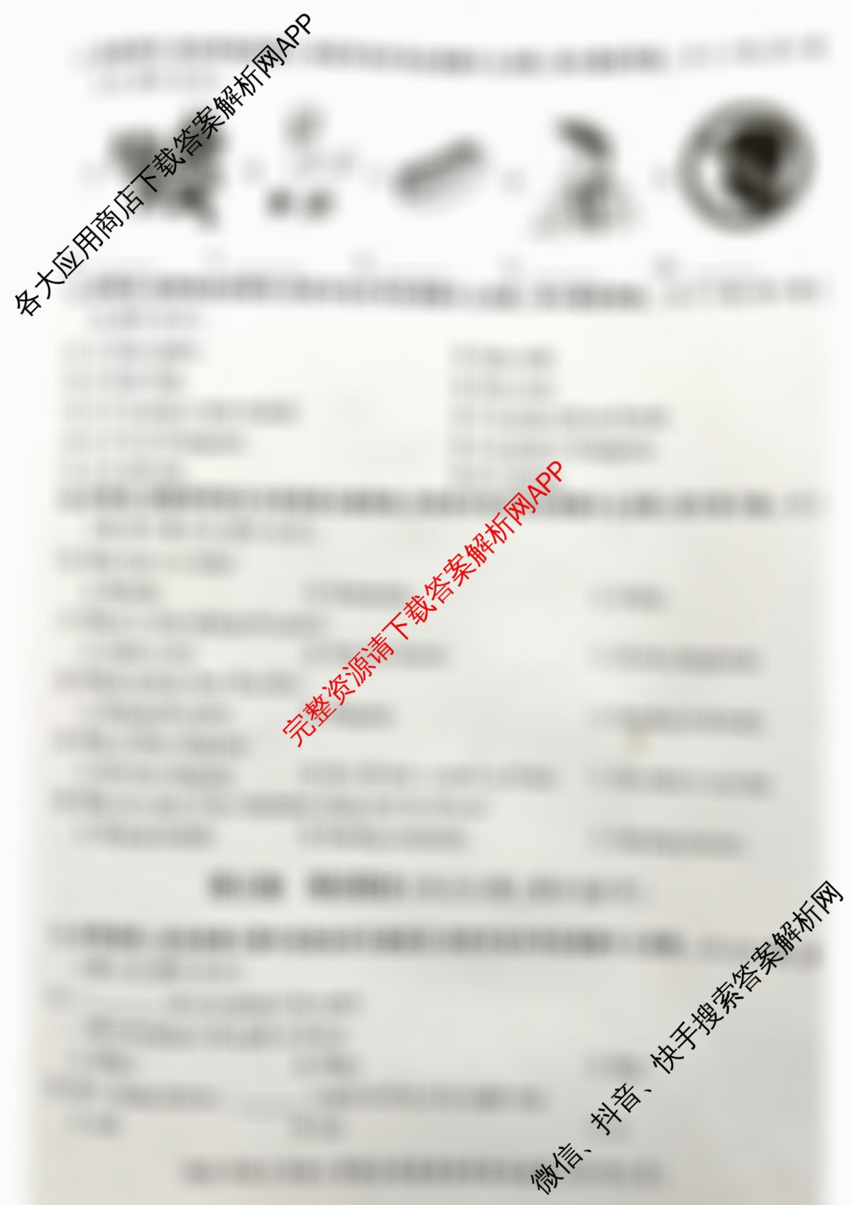 2025年秋广元市利州区七年级入学联合质量监测试卷及答案汇总: 含语文 数学 生物试卷解析英语试题