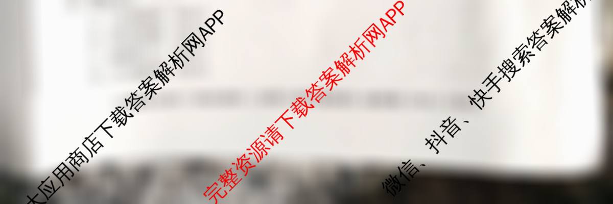 A10联盟&宿州十三校2025级高一上学期11月期中质量检测各科答案及试卷（含历史(A) 化学(人教版A) 物理(C)等）地理试题