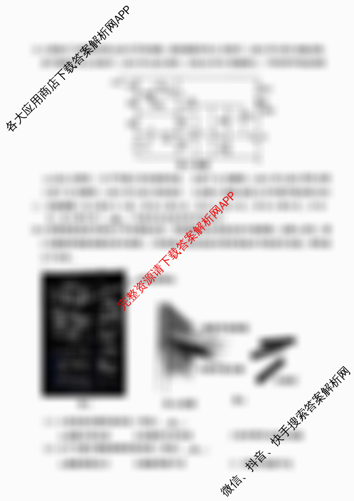 浙江省2025年4月稽阳联谊学校高三联考试卷及答案汇总（含化学、历史、英语等）信息技术试题