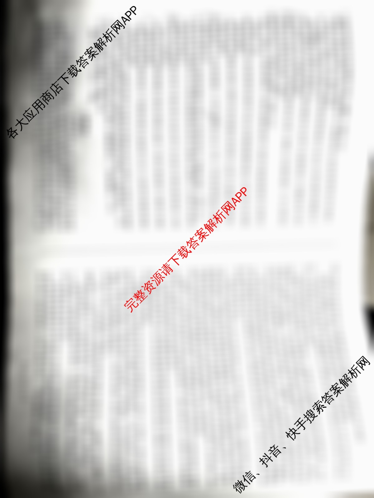 2025高三年级适应性模拟考试(4月)各科答案及试卷（13科全）语文试题