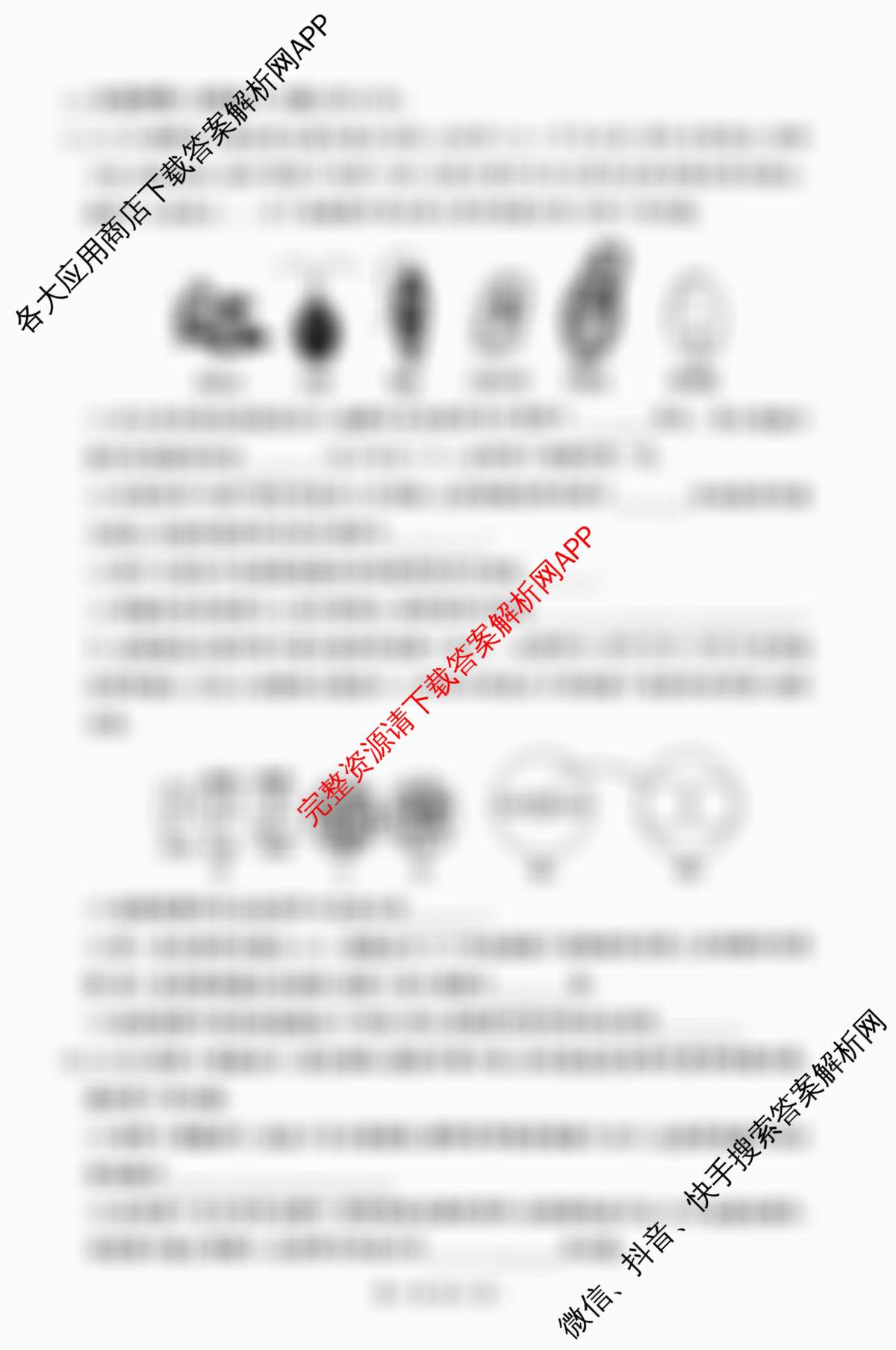 2025-2026学年高一年级上学期阶段测试各科答案及试卷(含地理、数学、语文等9份)生物试题 2025-2026学年高一年级上学期阶段测试各科答案及试卷(含地理、数学、语文等9份)生物试题