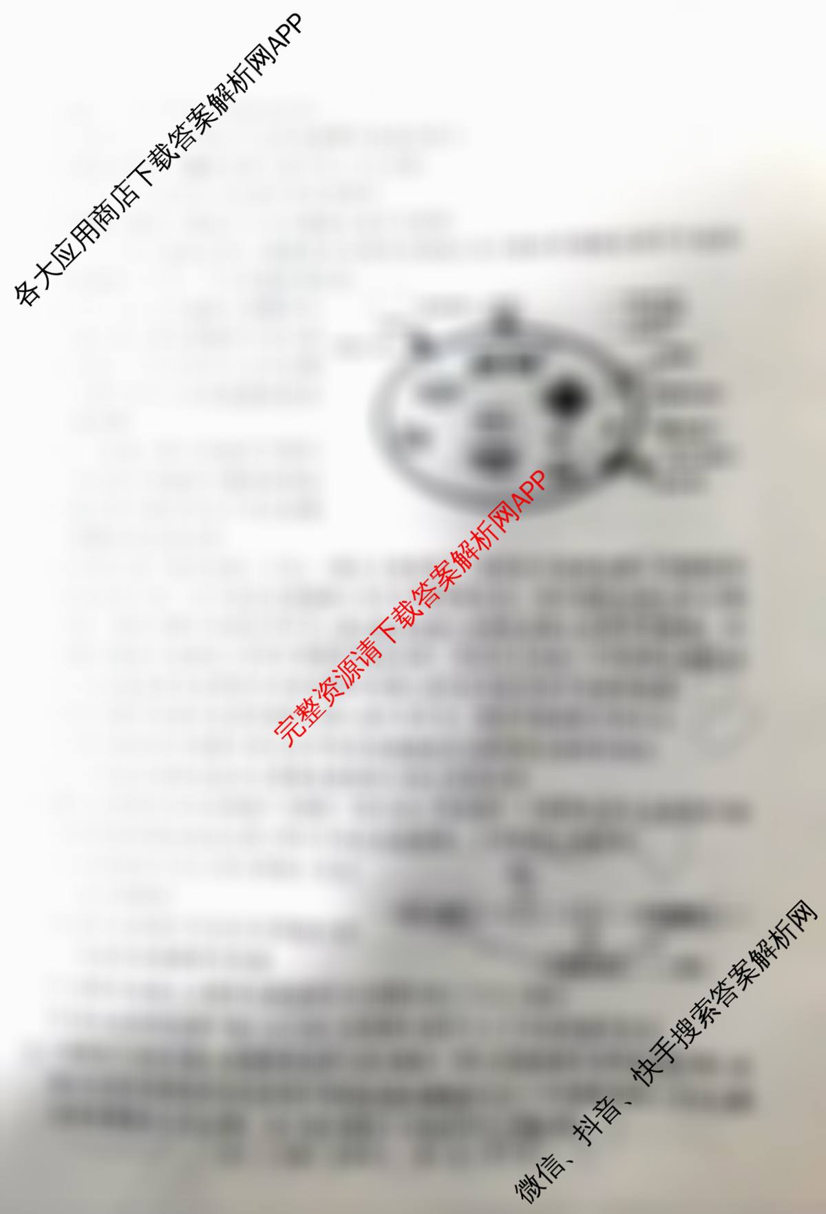 2025届H20高中联盟4月高三联考试卷及答案汇总（含历史、英语、语文等）生物试题