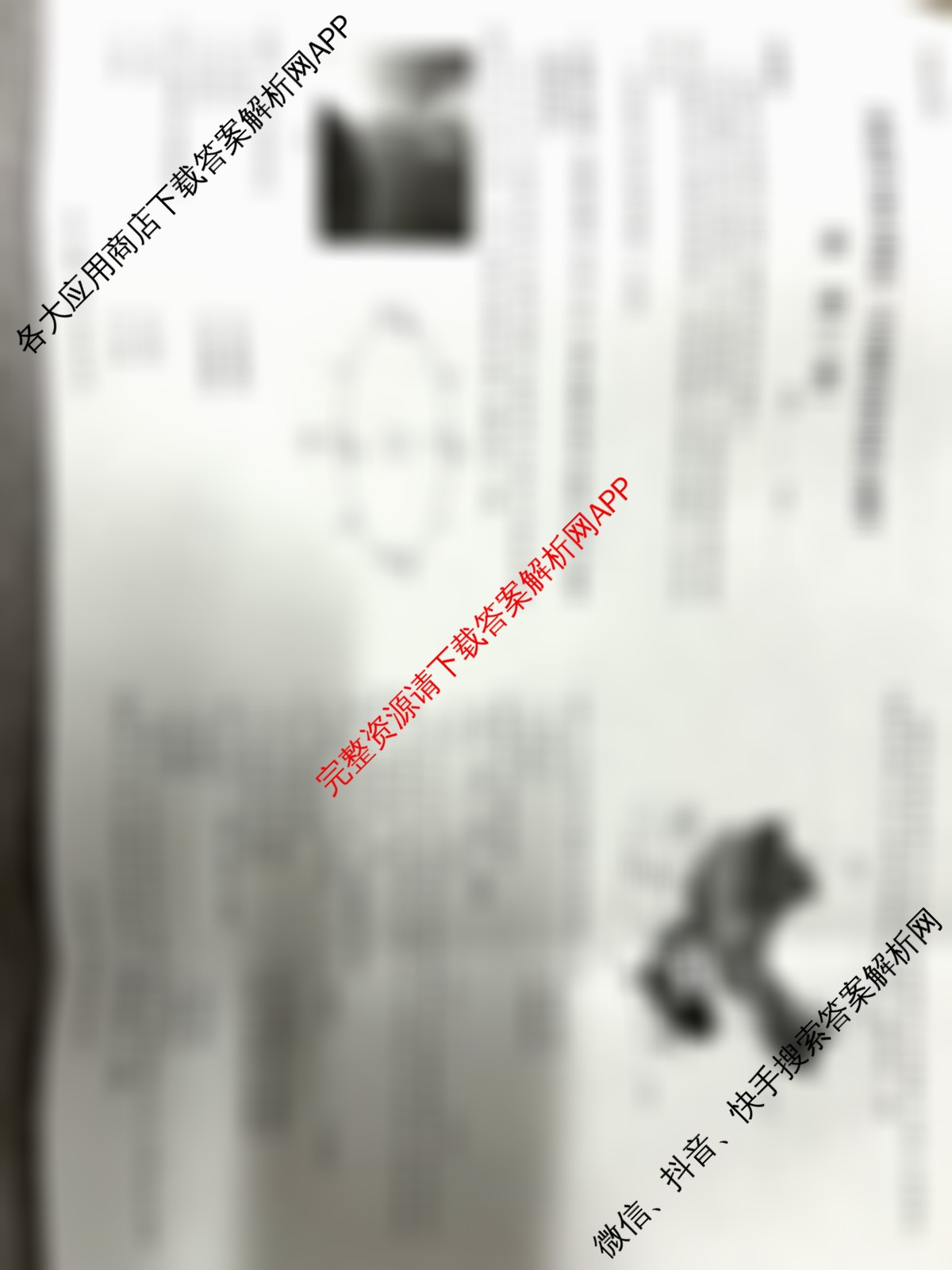 河北省2024级高二年级阶段性联合测评(9.25)（含地理(B卷)、化学(B卷)、语文(A卷)等）地理试题