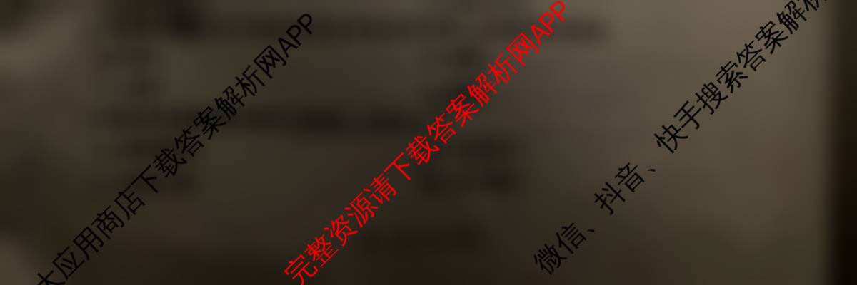 2025高三年级适应性模拟考试(4月)各科答案及试卷（13科全）地理试题