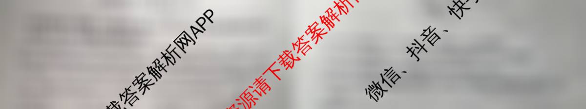 2025高三年级适应性模拟考试(4月)各科答案及试卷（13科全）物理试题