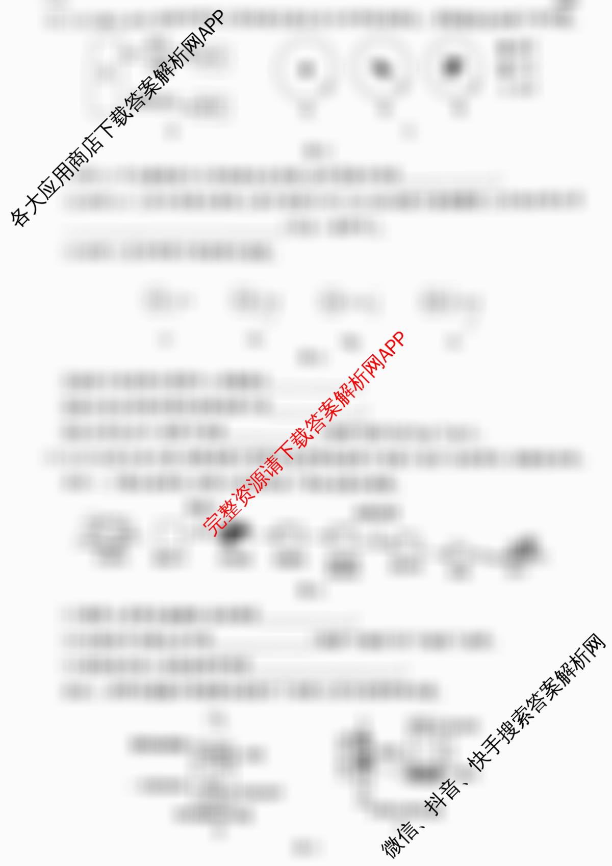 河北省2025~2026学年九年级第一学期第一次学业质量检测(B版◇◇)各科答案及试卷（9科全）化学试题