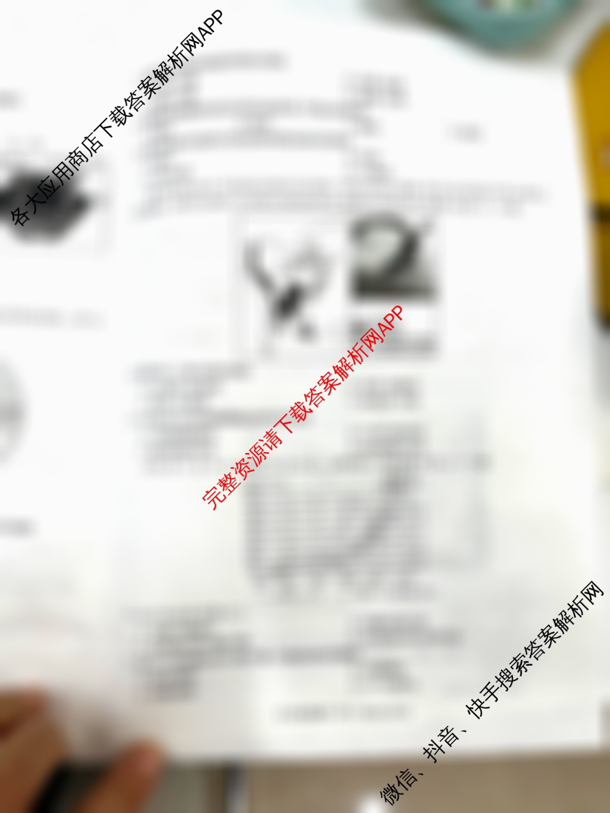 2025-2026七年级上学期期中学情检测（含数学 道德与法治 生物等）地理试题