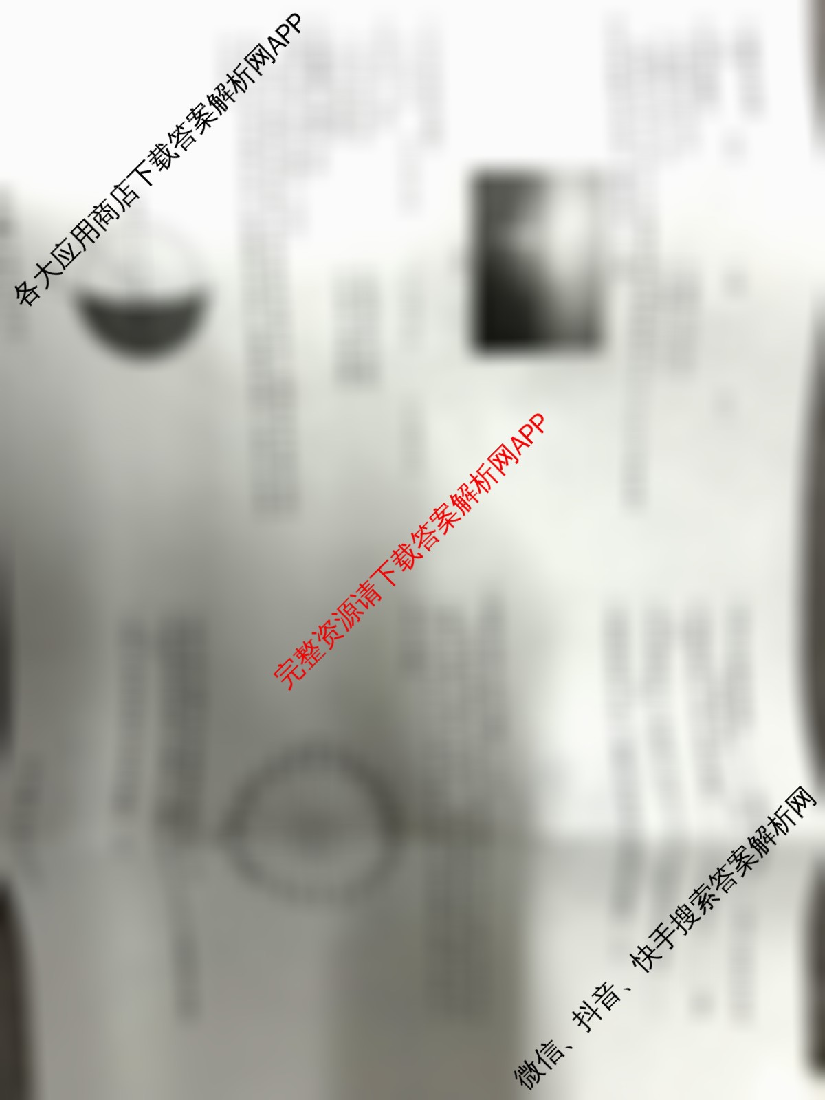 河北省2024级高二年级阶段性联合测评(9.25)（含地理(B卷)、化学(B卷)、语文(A卷)等）地理试题