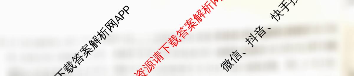 2025高三年级适应性模拟考试(4月)各科答案及试卷（13科全）物理试题