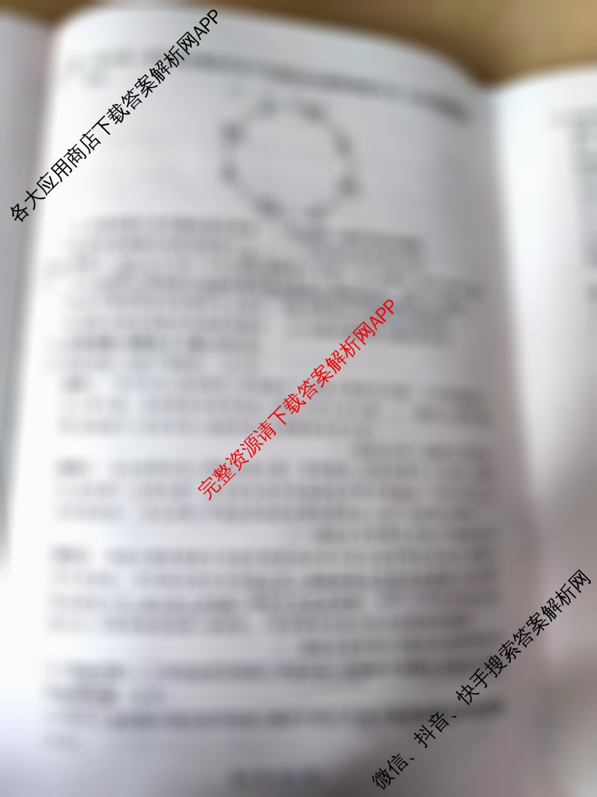 百师联盟2025-2026学年高二年级第一学期期中考试(11.5)试卷及答案汇总（含物理 历史 政治等）历史试题