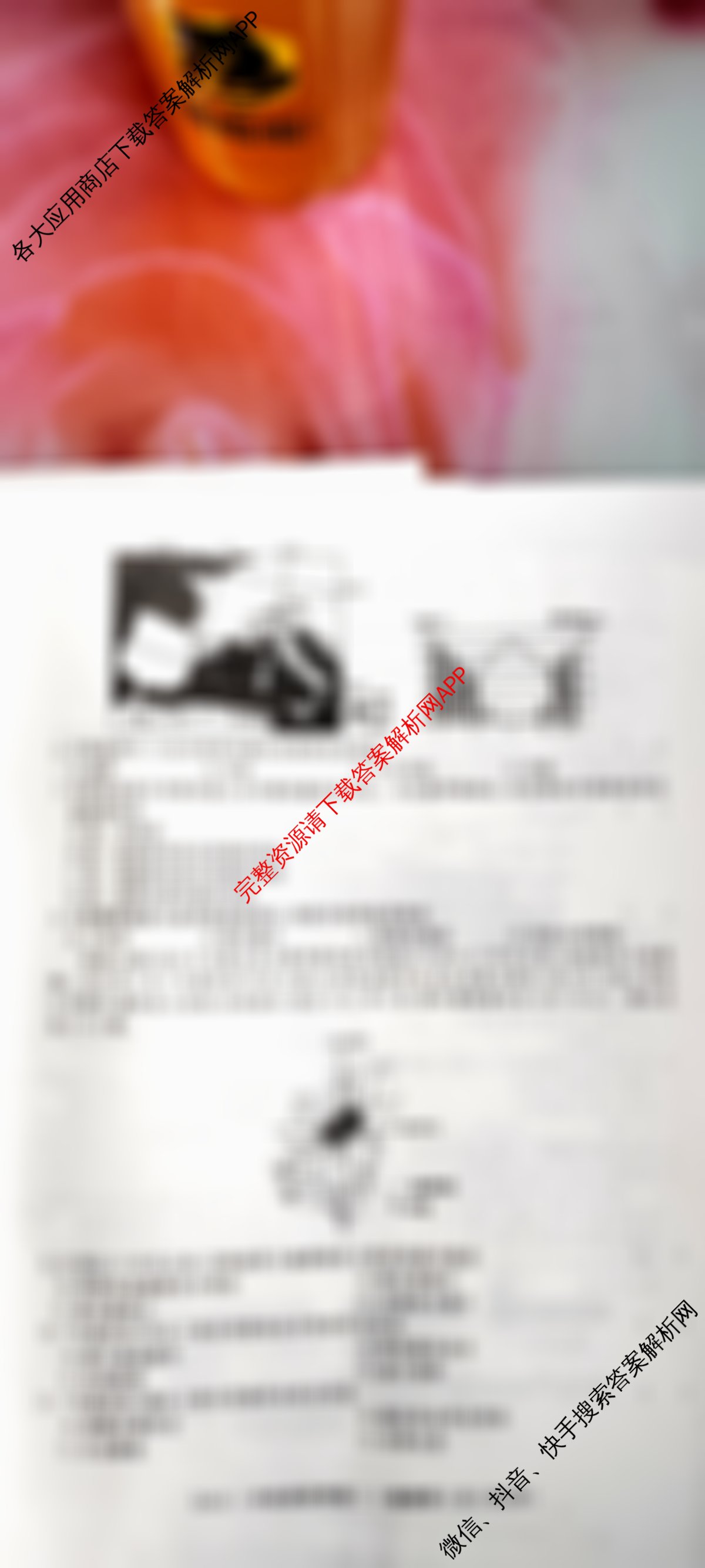 2026届冲刺调研押题实战演练(三)3各科答案及试卷: 含化学(XS6J) 化学(SD6) 生物(新S6J)试卷解析地理试题