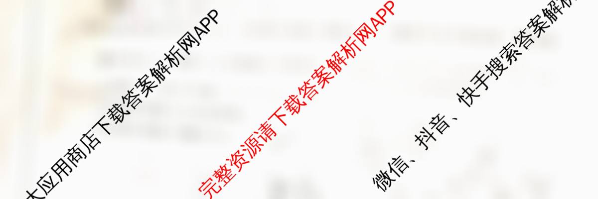 2025高三年级适应性模拟考试(4月)各科答案及试卷（13科全）物理试题
