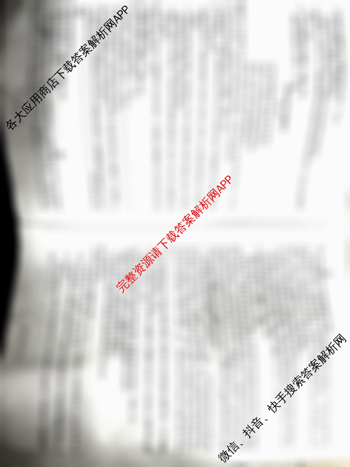 2025高三年级适应性模拟考试(4月)各科答案及试卷（13科全）语文试题