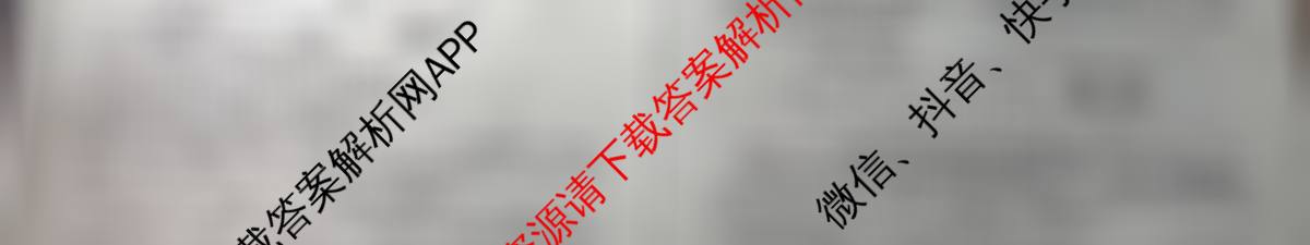 2025高三年级适应性模拟考试(4月)各科答案及试卷（13科全）物理试题