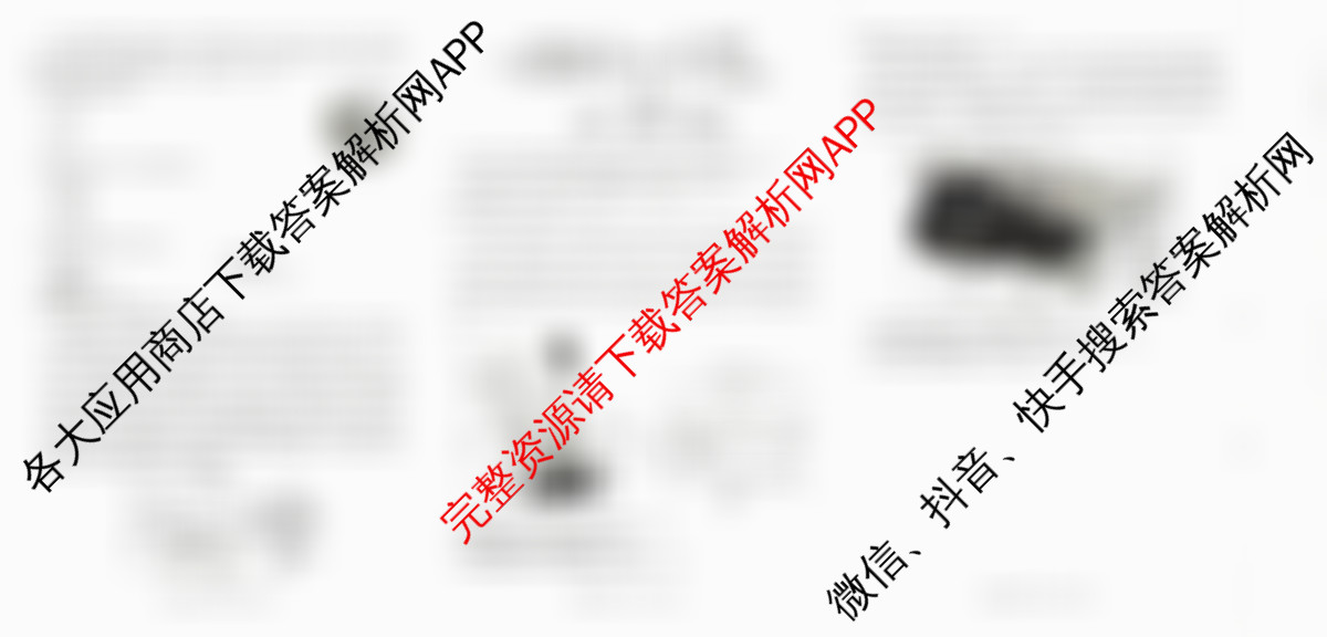 2026届广西高三年级12月联合考试(12.23)试卷及答案汇总: 含政治 历史 物理试卷解析地理试题